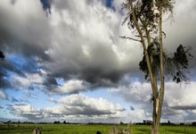 2025年乒乓文化巡展在山东青岛开展.