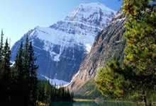 2022年至2024年检察机关共起诉证券犯罪366件1011人.