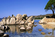 2024“一带一路”国际帆船赛扬帆土耳其.